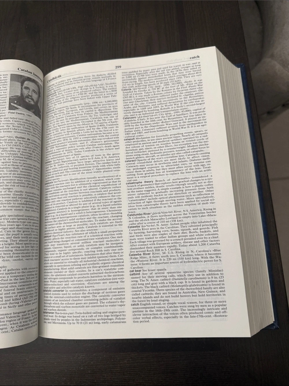 Collegiate Encyclopedia Hardcover in Blue
